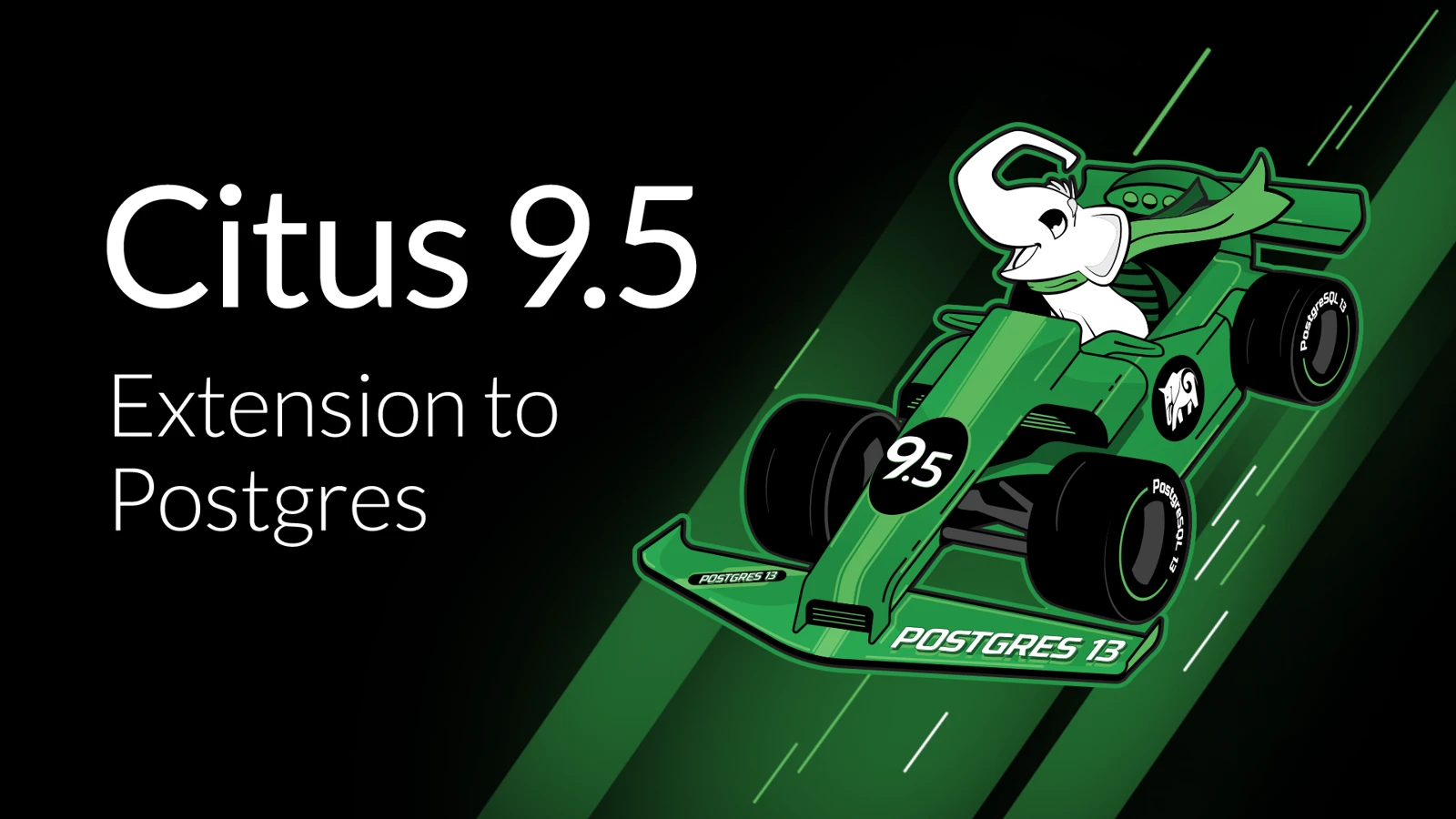 Citus 9.5 — Release artwork · 2020